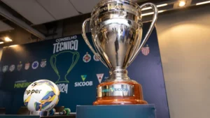 Campeonato Mineiro 2024 - FMF