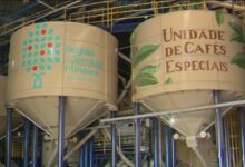 Crédito: Divulgação Sebrae Minas