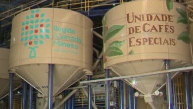 Crédito: Divulgação Sebrae Minas