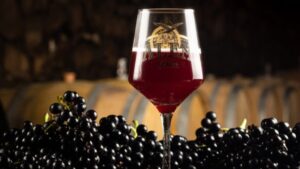 Tannat Grape Ale — Foto: Divulgação Tannat Grape Ale — Foto: Divulgação