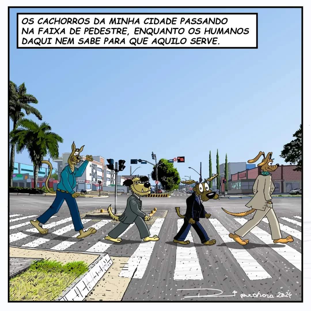 Cães