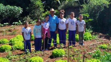 Projeto de horta escolar