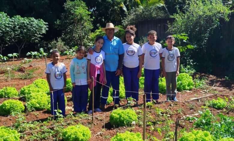 Projeto de horta escolar