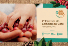 2ª edição do Festival da Colheita do Café