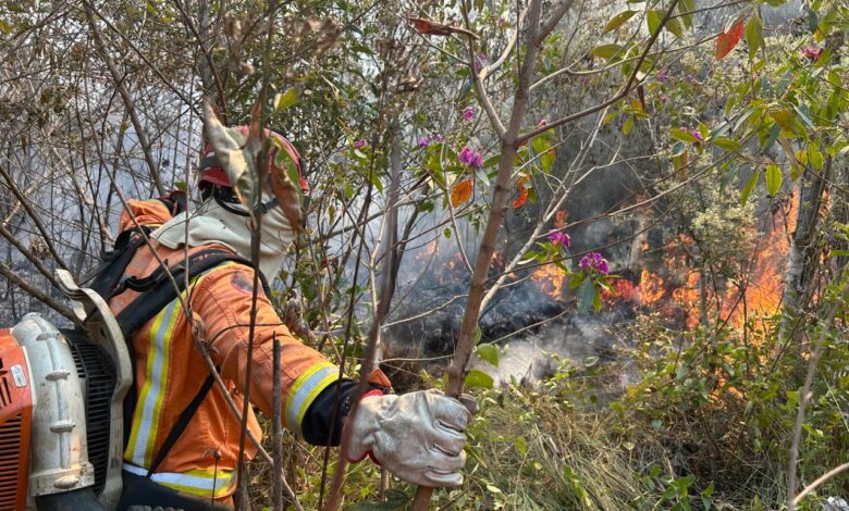 Bombeiros